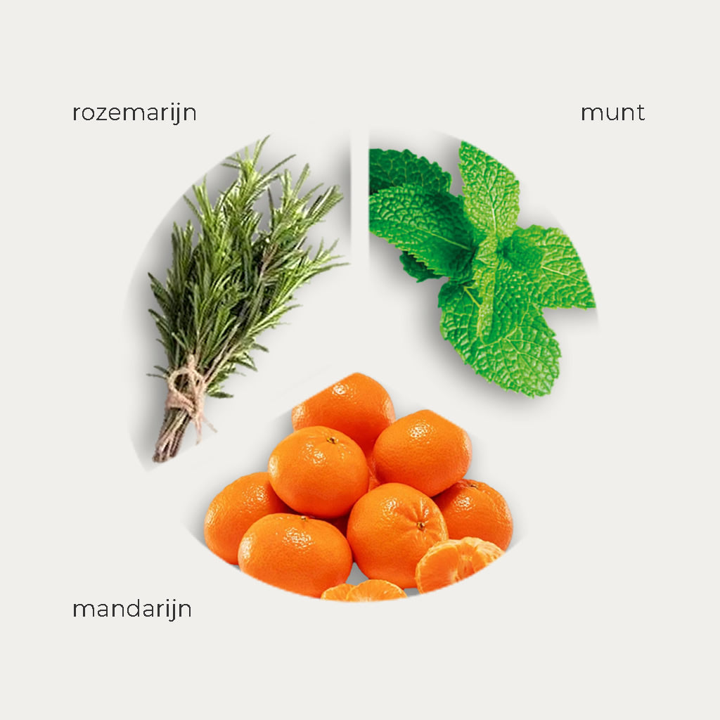 Elevated Curl Care - Ingredienten - curl mousse