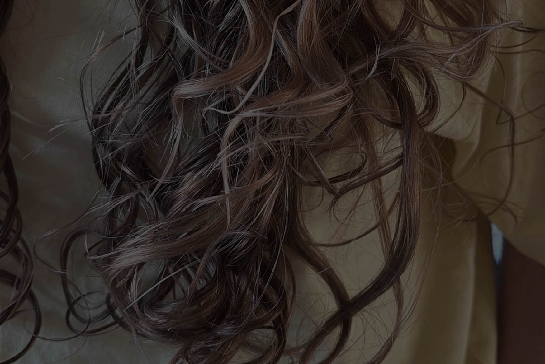 Header - Curly Nica - Fenji Cosmetics