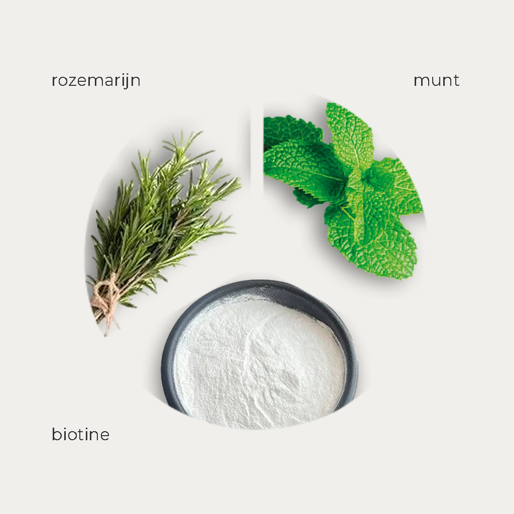 Biotine - Rozemarijn - samples
