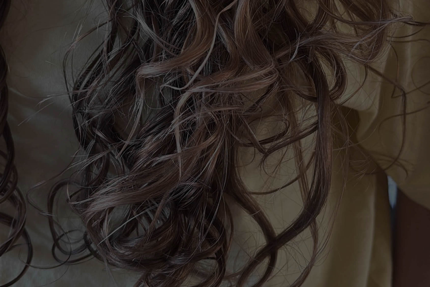 Header - Curly Nica - Fenji Cosmetics